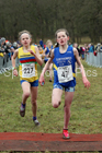 Girls under-13s, 2018 Northern Cross Country Champs., Harewood House, Leeds. Photo: David T. Hewitson/Sports for All Pics